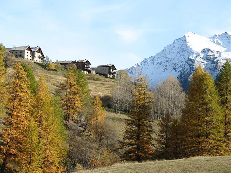 Auberge L'Estoilies Saint-Vérand Dış mekan fotoğraf